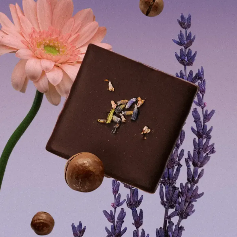 4x20g Nut Butter Chocolate: LAVENDER & MACADAMIA / Cosmic Dealer