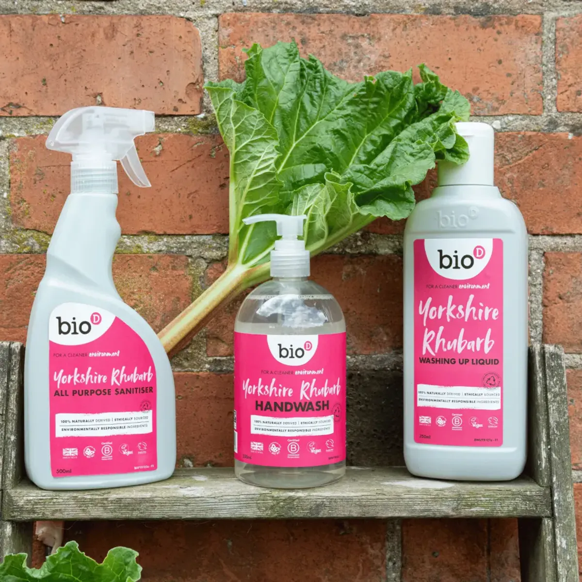 750 ml oppvasksåpe, Wild Rhubarb / Bio-D