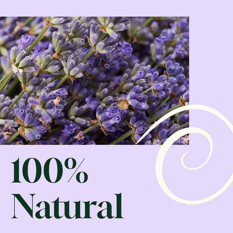 Blissful Dreams Lavender Pillow Spray 237ml / Plant Therapy