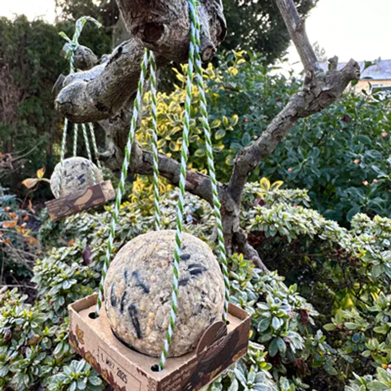 4 stk meiseboller med frø, plastfri / Die Stadtgärtner