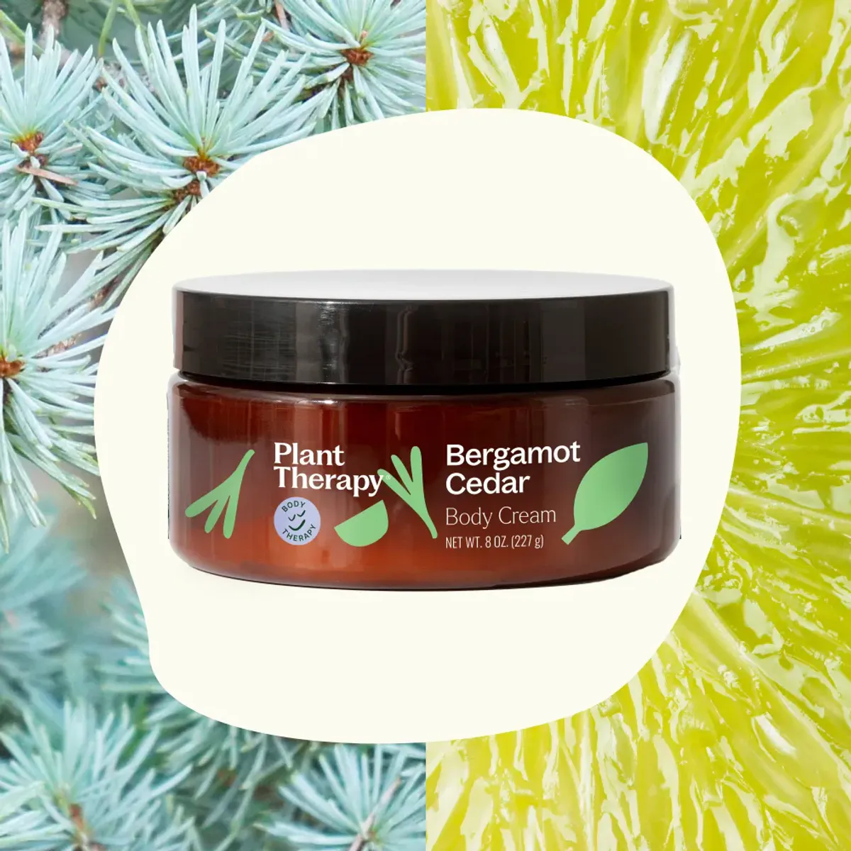 Bergamot Cedar Body Cream 227g / Plant Therapy