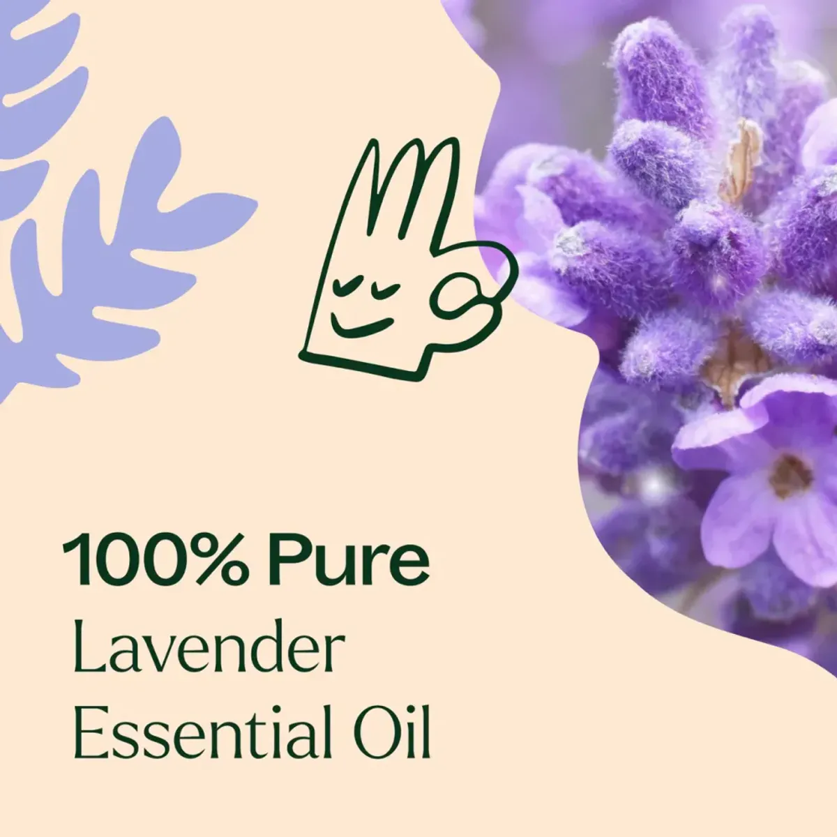 100ml Lavendel eterisk olje / Plant Therapy