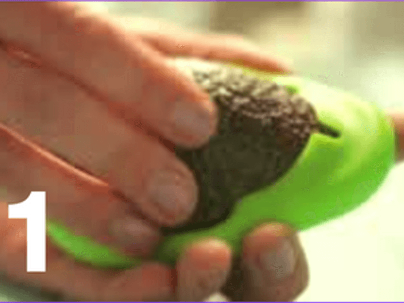 Single Avocado Hugger / Food Huggers